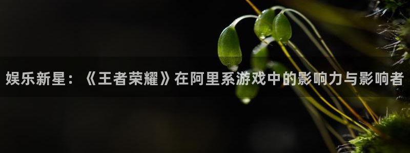 恩佐娱乐：娱乐新星：《王者荣耀》在阿里系游戏中的影响力与影响者