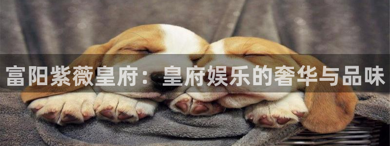 恩佐娱乐：富阳紫薇皇府：皇府娱乐的奢华与品味