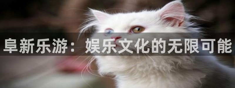 恩佐娱乐：阜新乐游：娱乐文化的无限可能