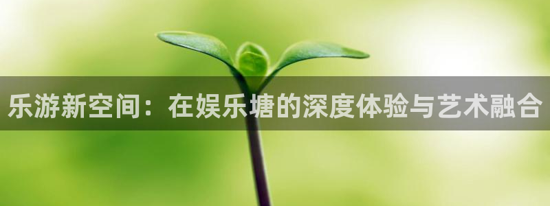 恩佐娱乐：乐游新空间：在娱乐塘的深度体验与艺术融合