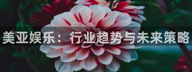 恩佐娱乐：美亚娱乐：行业趋势与未来策略