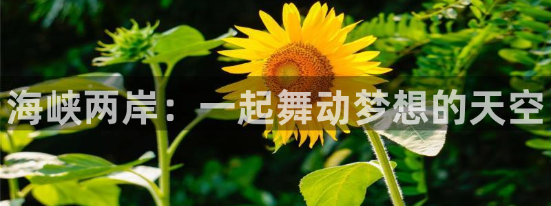 恩佐娱乐：海峡两岸：一起舞动梦想的天空