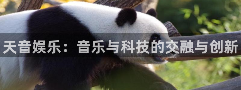 恩佐娱乐：天音娱乐：音乐与科技的交融与创新