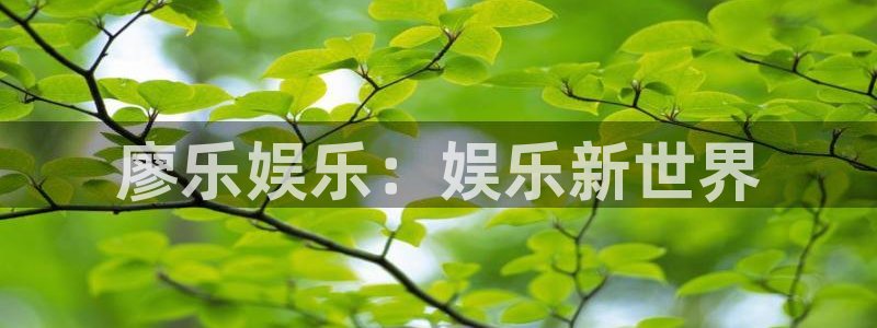 恩佐娱乐：廖乐娱乐：娱乐新世界